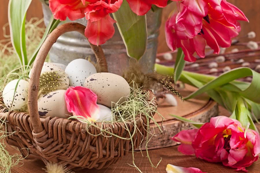 Festliche Osterdeko für Zuhause Osterdekoration: Frühlingsblumen und Osterkörbchen