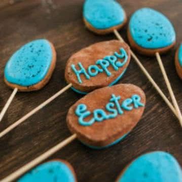 Oster-Cake-Pops Oster-Cake-Pops