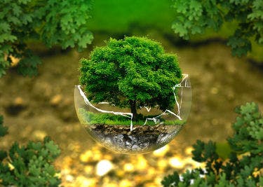 Bei Living Crafts mit Gutscheinen sparen Gutscheine sichern für Living Crafts