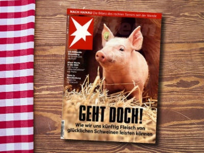 Kochen und genießen abo kündigen Kochen und genießen abo kündigen